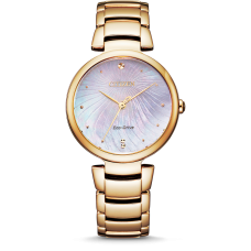 EM0853-81Y