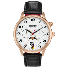 AP1053-15W